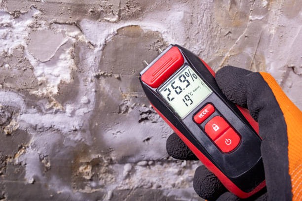 Best Attic Mold Removal  in Flagtown, NJ