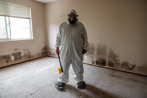 Best Residential Mold Removal  in Flagtown, NJ